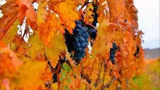 Colurful Autumn in Armenia
