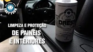 LIMPEZA E PROTE&Ccedil;&Atilde;O INTERIOR DE PL&Aacute;STICOS - DRESS