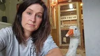Sick Goose & A Bad Storm | #homestead #geese