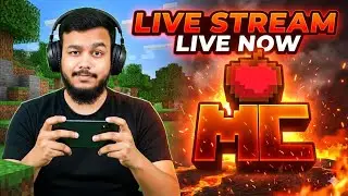 Public Minecraft Server Gameplay | Is It Really Fun?