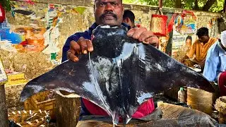 KASIMEDU 🔥 SPEED SELVAM | BLACK STRINGRAY FISH 🐟 MASS CUTTING | N M FISH CUTTING 🔪