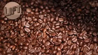 Small roastery in Washburn combines passion for sailing with love for coffee | The Lift on WDIO