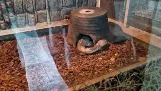 China Vlog 8