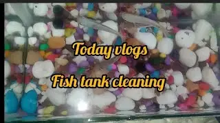 My Daily Vlog || Fish Tank Cleaning || How to clean fish tank || #fishtank #cleaning #video #fishing