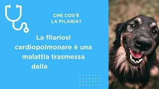 Video sala dattesa Campagna Filaria 2024
