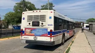 CTA Bus Ride 79 79th From 79th/Red/Line To 79th/Western/Terminal CTA New Flyer D40LF 2006 1229