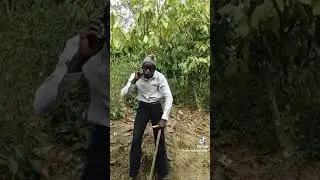 Birifor Dagati Dance
