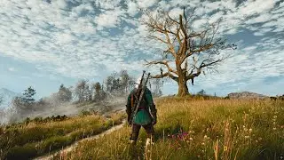 It took me 800 hours to notice this hidden thing in The Witcher 3