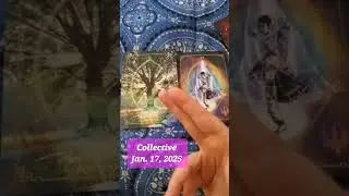 #Collective #spirit #universe #tarot #divine #starseed  #thirdeye #zodiacs