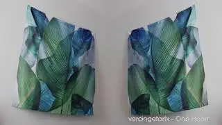 Vercingetorix - One Heart (Nlem Myore) [Visualizer]