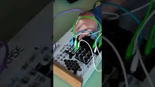 Just messing around with new module I just got.  #music #synth #modularsynth #plaits