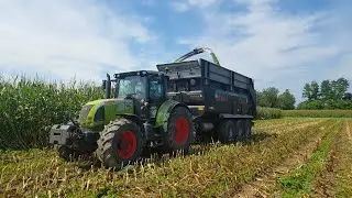 Trinciato Mais 2017 | Claas Jaguar 960, Claas Arion 630, Lamborghini R6.185 | Assanelli | Full HD