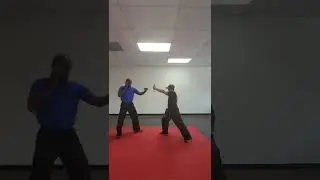 Palm Heel Strike Yellow Belt board break