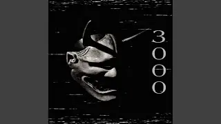 3000