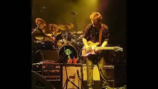 Phish - Reba 8/10/96 | Alpine Valley Music Theatre | East Troy, WI