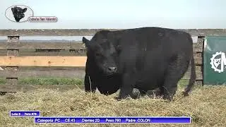 Toros de Caba&ntilde;a San Valent&iacute;n de Garay - 2025