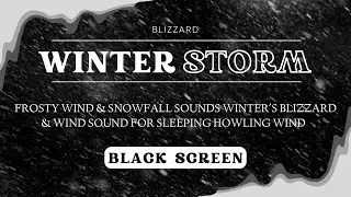 Frosty Wind & Snowfall Sounds | Winter's Blizzard & Wind Sound for Sleeping | Howling Wind
