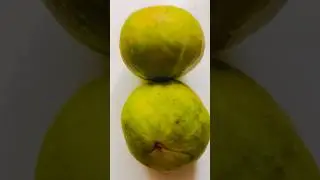 Fresh Citrus macroptera || shatkora #shorts #citrus #yummyrecipe