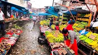 Así  es la vida rel  en la ciudad  de IQUITOS - Perú 🇵🇪 la selva  Amazónica