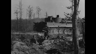 German Newsweek No. 677- 25 August 1943 [Full HD] (SA Sport Festival, Eastern Front Combat Footage)