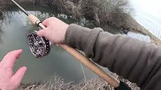 Бойкий праздничный голавль на поплавке.