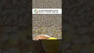 Global Food Prices Rise After Russia Ends Grain Deal And India Restricts Rice Exports