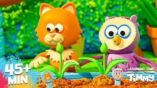 🌿 LEARNING ABOUT NATURE! | PRESCHOOL CARTOON | Timmy Time