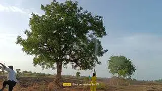 How to spray IPM on boundary trees for white grub management in groundnut crop