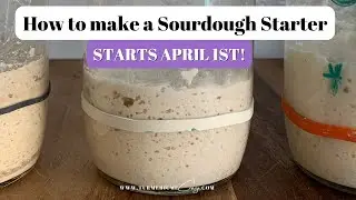 How to make a Sourdough Starter - Materials List