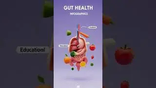 Gut Health Infographic with Fiber-Rich Fruits & Vegetables | Clean 3D Medical Render