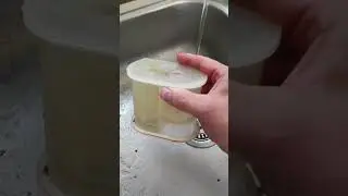 Noob cleaning condensate trap on Ideal Logic combi boiler