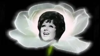 VOLA VOLA VOLA (ORIETTA BERTI)