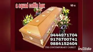Coffin box