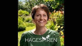23/25: Samplanting i hagen