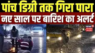 UP Weather: कोहरे की चादर से ढका प्रदेश, पांच डिग्री गिरा पारा...ठंड से कांपे लोग | Cold | IMD Alert
