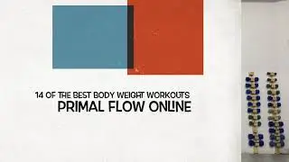 14 Day Primal Flow Body Transformation Online Program with DNG FITNESS