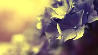 Фотки