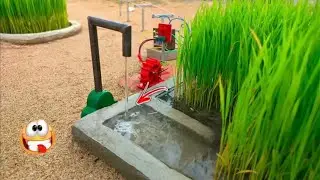 Mini Farming with Irrigation | Small Scale Farming Big Results 🌾