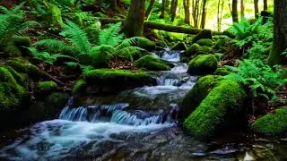 Piano Dreamscape & River Flow &ndash; Calming Sleep Music for Restful Nights