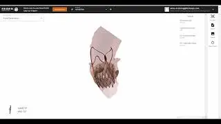 New FEops HEARTguide TAVI  Boston Scientific AcurateNeo2