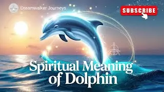Spiritual Meaning of Dolphins | Joy, Guidance & Higher Consciousness