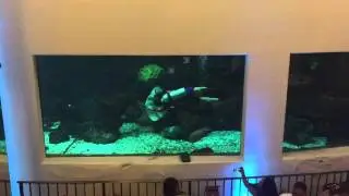 Buffet at pacific beach hotel with fish women