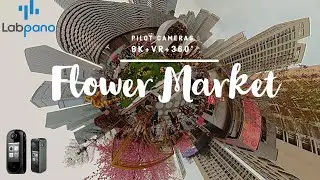Pilot Era 8K 360&deg; video on Flower Market in Modern City Shenzhen