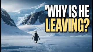 The Real Story Behind the Viral Penguin Video | 2007 Antarctica Documentary Explained