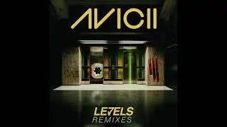 Avicii - Levels (Michel VOX) (ft. Michel Zitron)