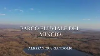 DJI MAVIC 2 PRO - Parco del Mincio