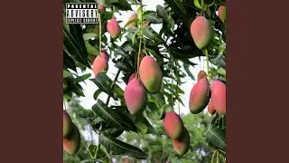 Mango Red