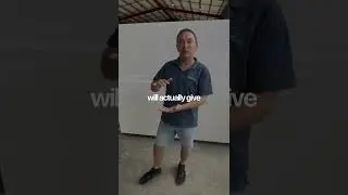 Insulation Decisions at a System Level