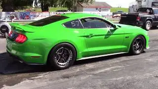 2019 MUSTANG GT 