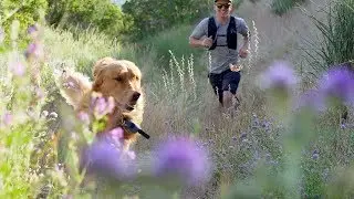 Sunset Trail Run with Kicker Dog Muse - Peace in the mountains of Salt Lake City